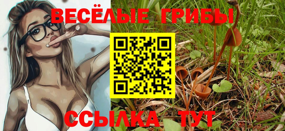 Галлюциногенные грибы мухоморы  Вход с VPN  Каменск-Шахтинский 