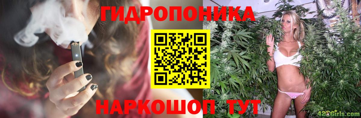 Бошки марихуана VHQ Каменск-Шахтинский